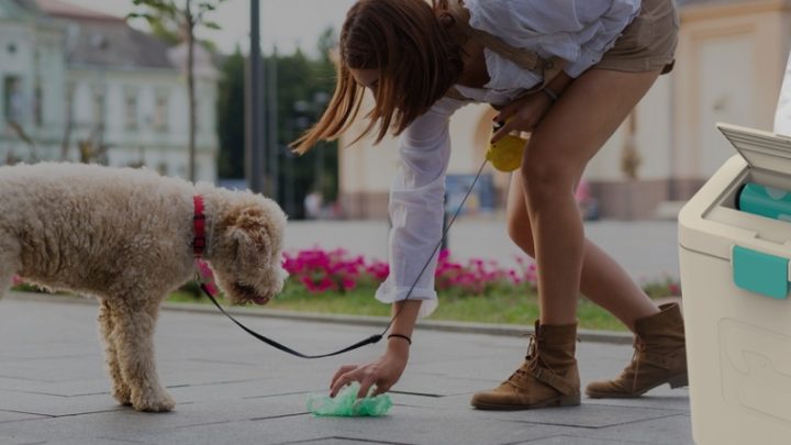 Keep Your Lawn Neat, Tidy with a Dog Poop Disposal System 