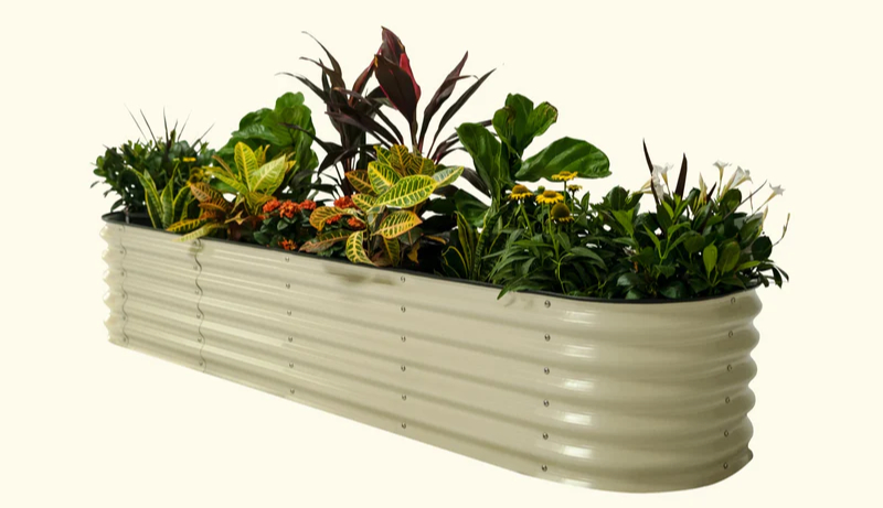 Elevate Your Garden: The Allure Of Galvanized Raised Bed Planters